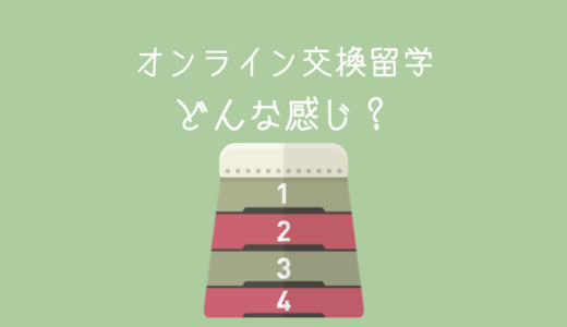 【交換留学】オンライン授業ってどんな感じ？